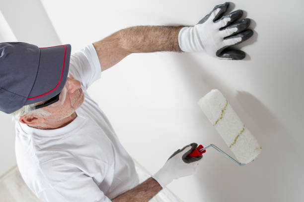 Best Mold Removal for HVAC Installations  in Muscatine, IA