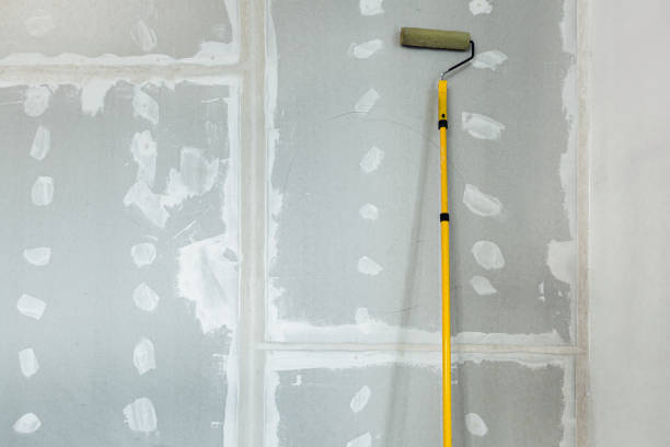 Best Environmental Consulting for Mold Prevention  in Muscatine, IA