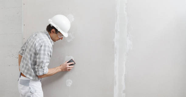 Best Mold Odor Removal Services  in Muscatine, IA