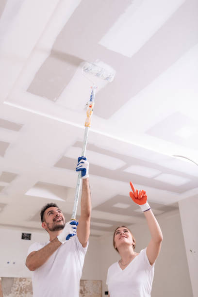  Muscatine, IA Mold Removal Pros
