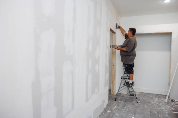 Best Real Estate Mold Inspection  in Muscatine, IA