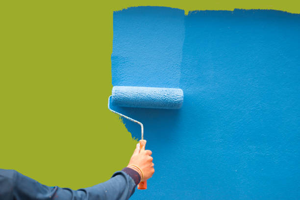 Muscatine, IA Mold Removal Company