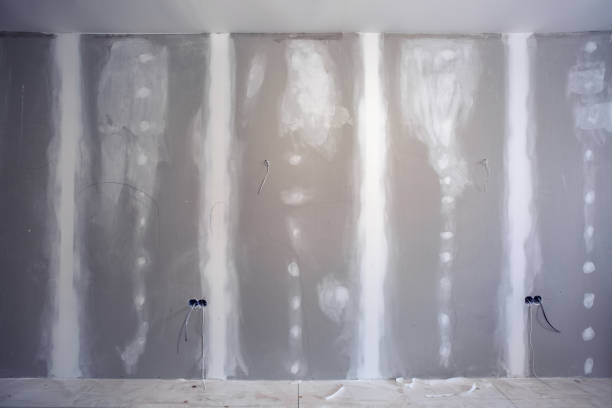 Best Water Damage & Mold Remediation  in Muscatine, IA