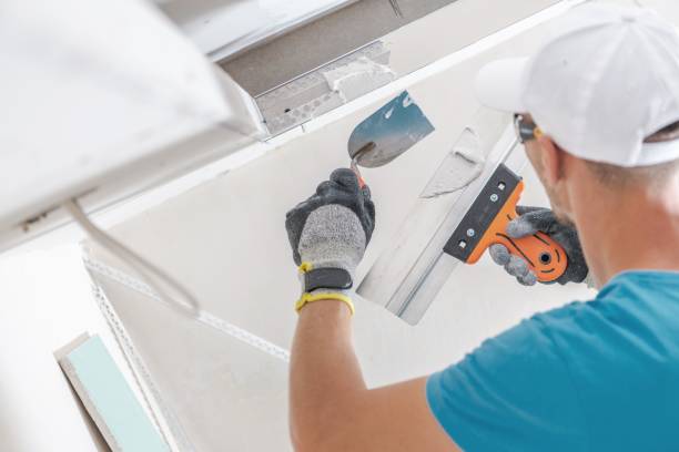 Best Mold Remediation for Healthcare Facilities  in Muscatine, IA